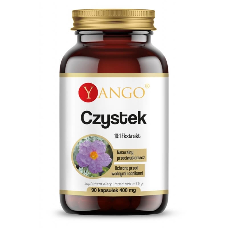 czystek yango