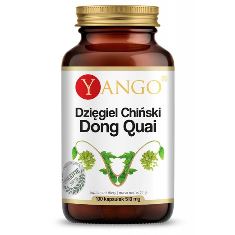 dzięgiel chiński yango