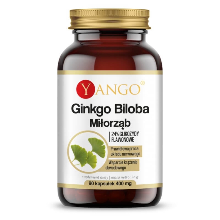 ginkgo biloba yango
