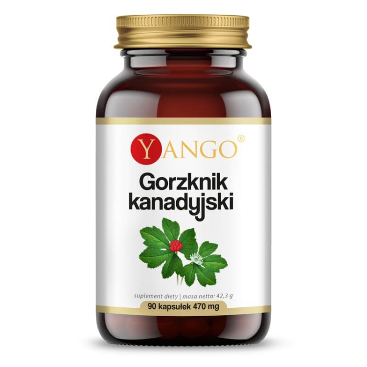 gorzknik kanadyjski yango