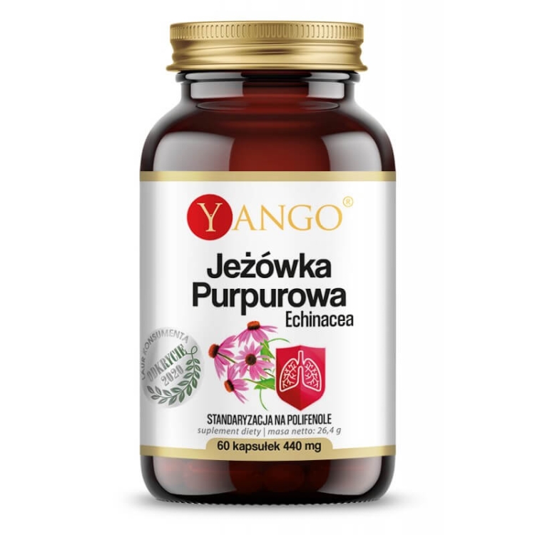 jeżówka purpurowa yango