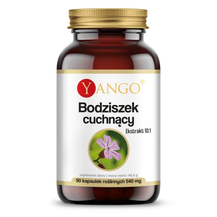 Bodziszek Cuchnący Yango