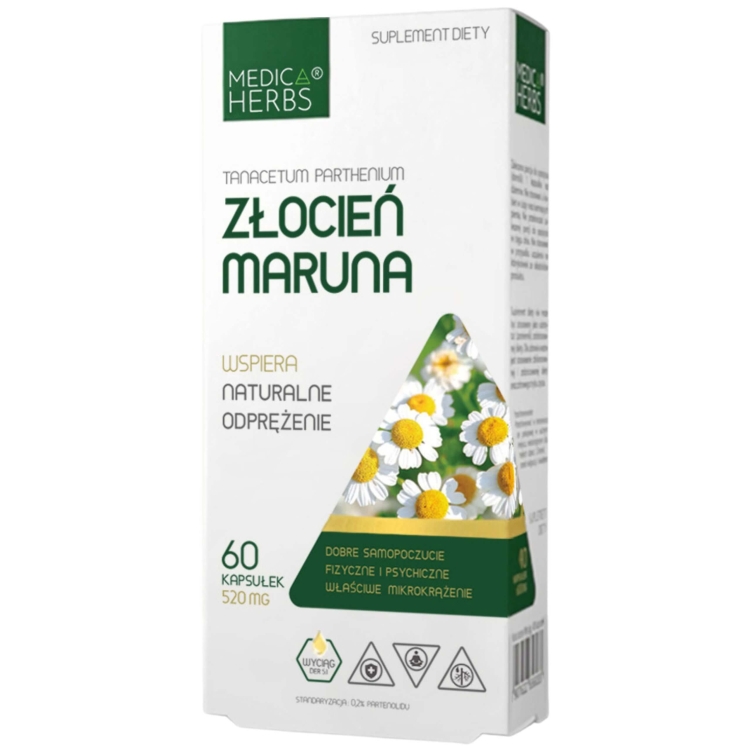 złocień maruna medica herbs
