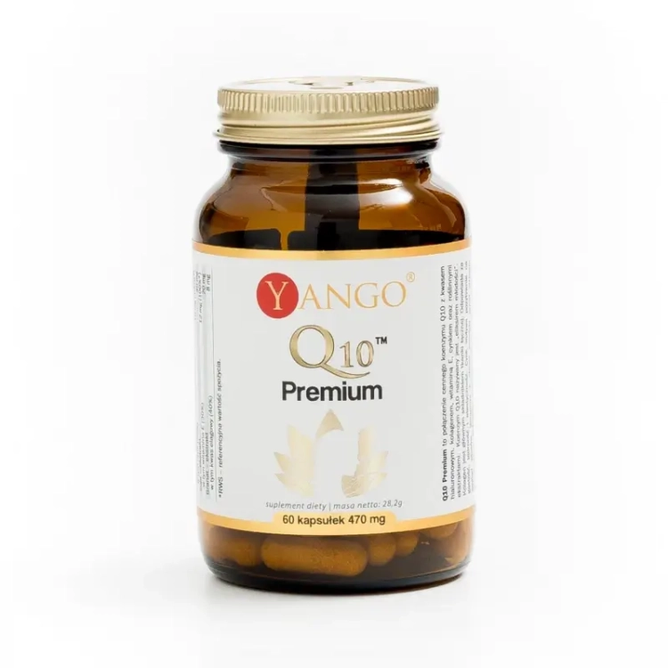q10 premium™ yango