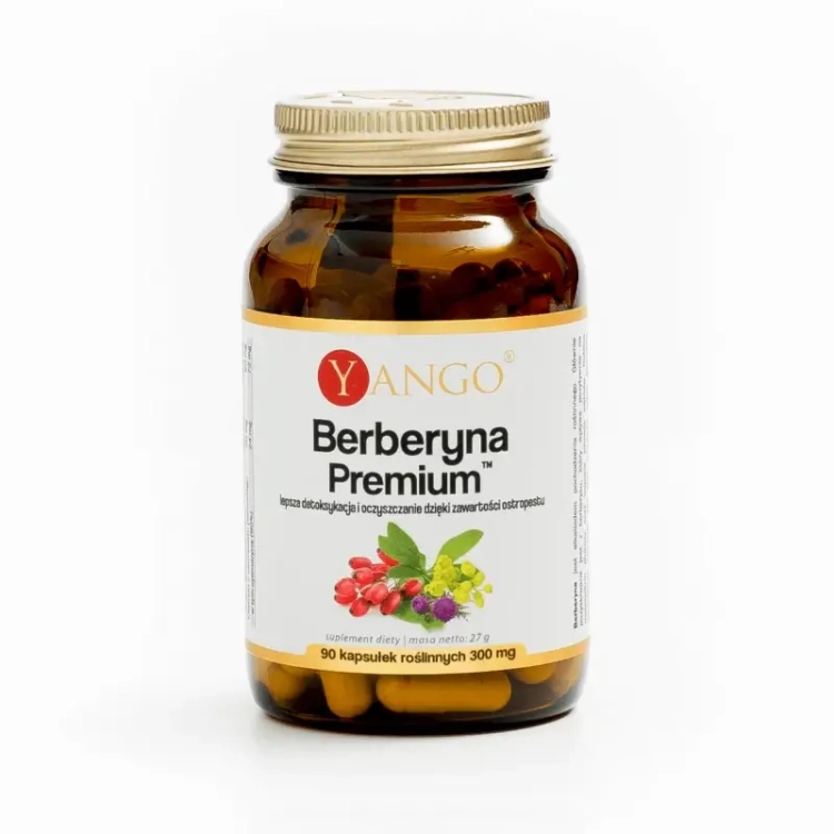 berberyna premium yango