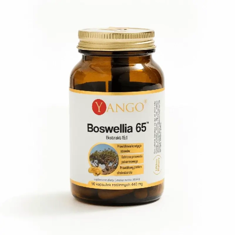 Boswellia Yango