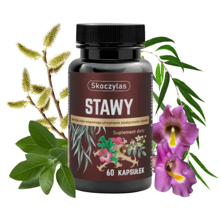 Stawy Skoczylas