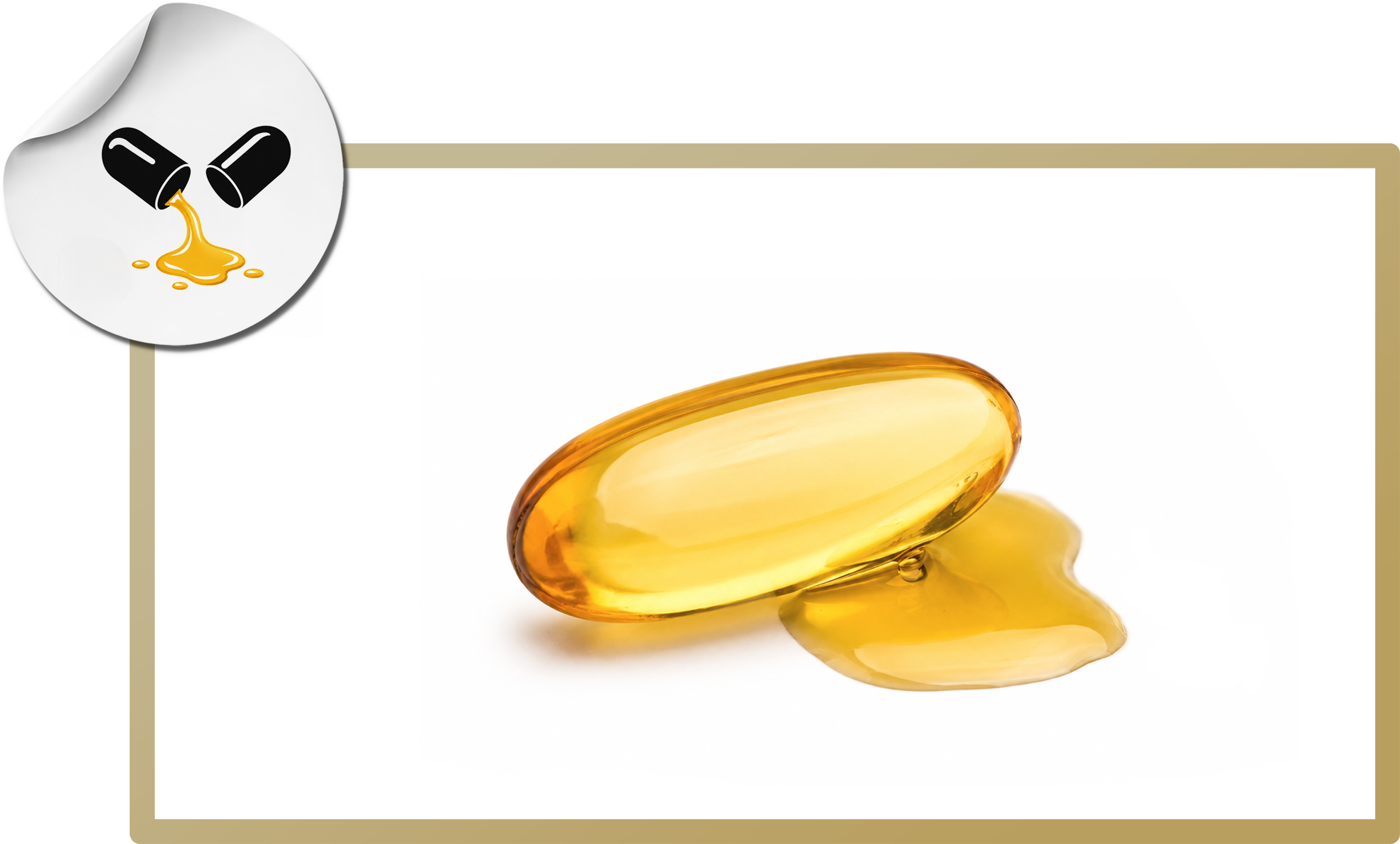 ESENCJA® Omega 3 Forte 1000/500 mg EPA/DHA 80 kaps.